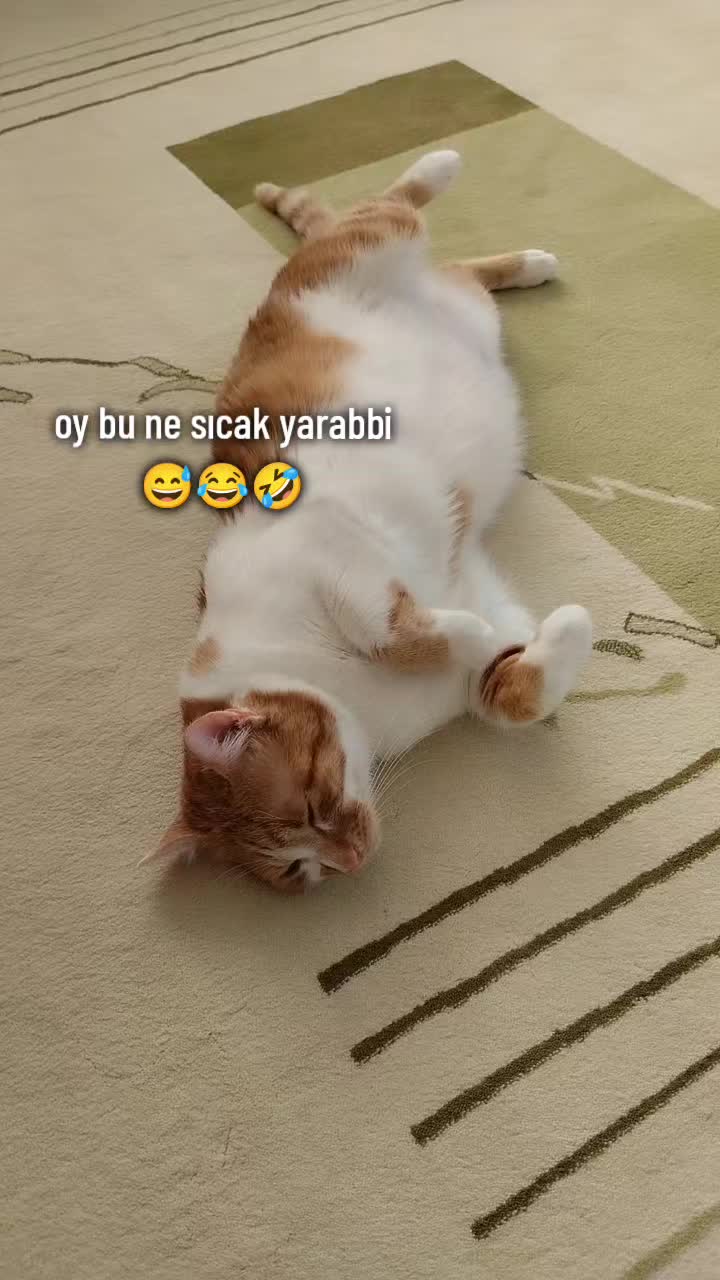 @KAVUN