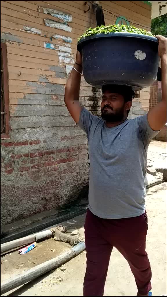 @user94998672206