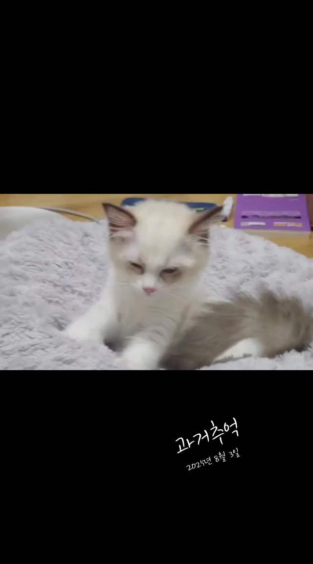 @๐ฉต๋ฅ๋ฅ์ดํ์ฐ์ค 14๋ฅ2๋ฉ๐