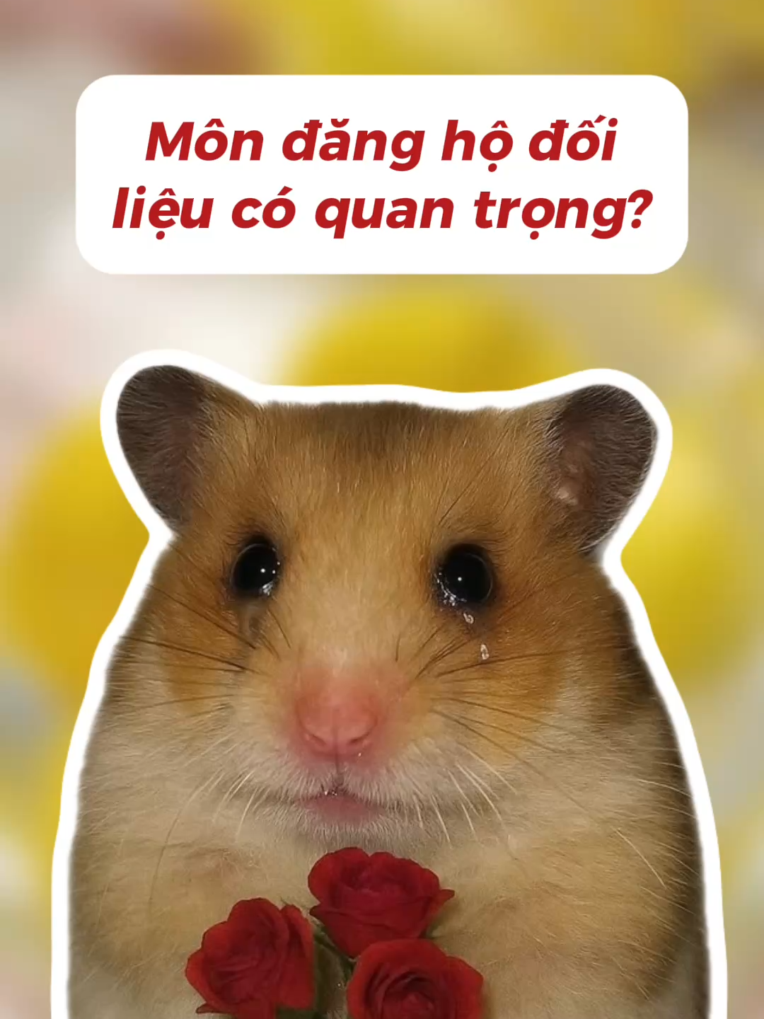 @Kha Khờ Khạo 🥑