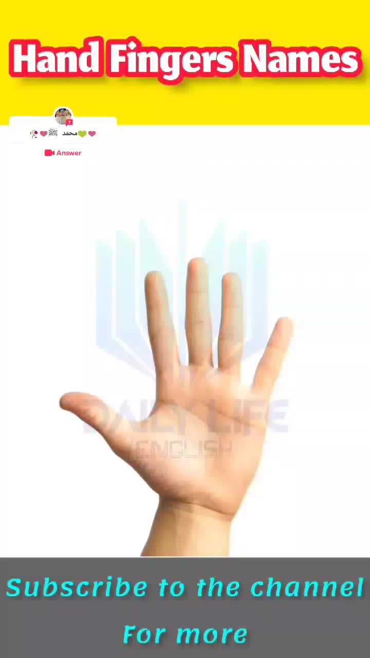 @user54126231094