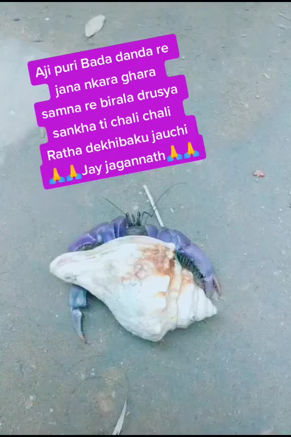 @Mukesh Mohapatra