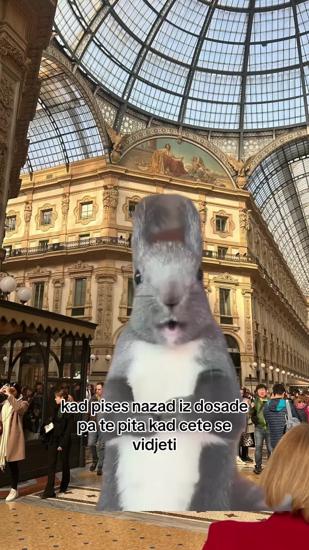 @culjakmateja
