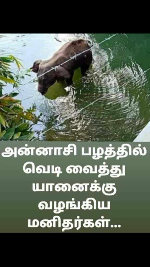 @Thilagavathi Sathish