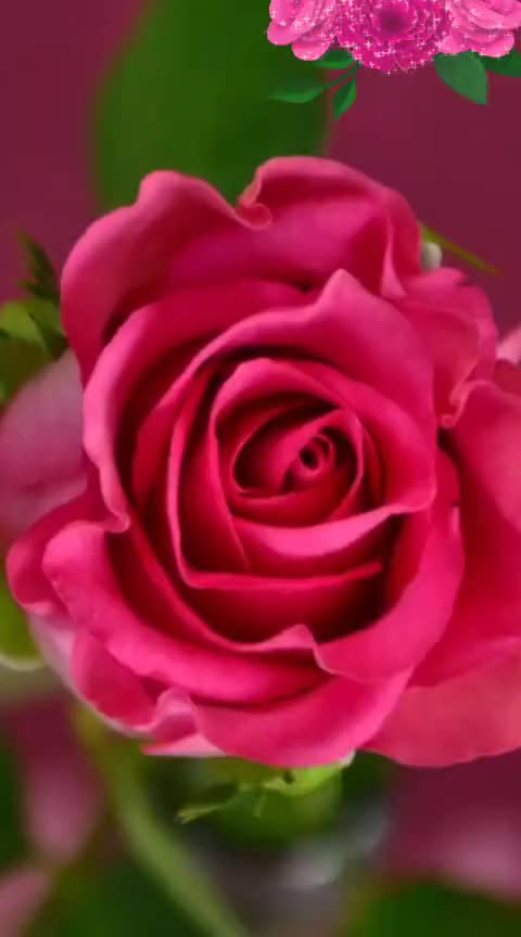 @Juhi Rai