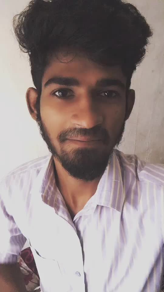 @220_night_riders