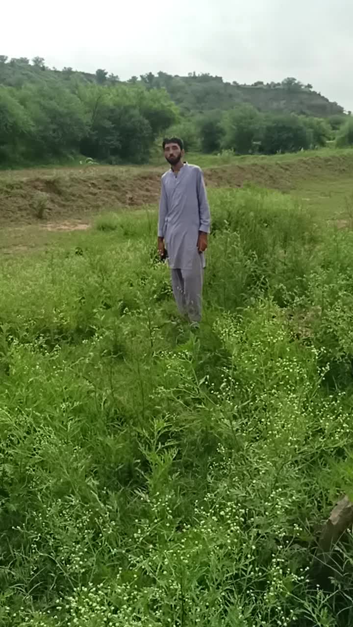 @Hasnain Kahout