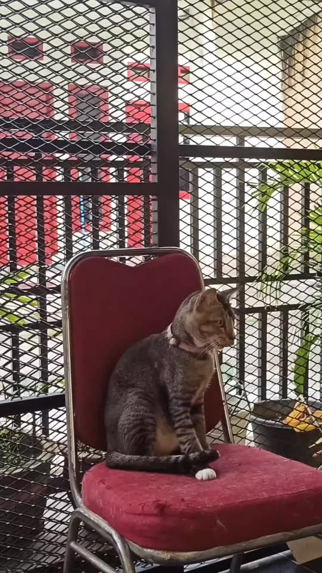 @Keluarga Manja R