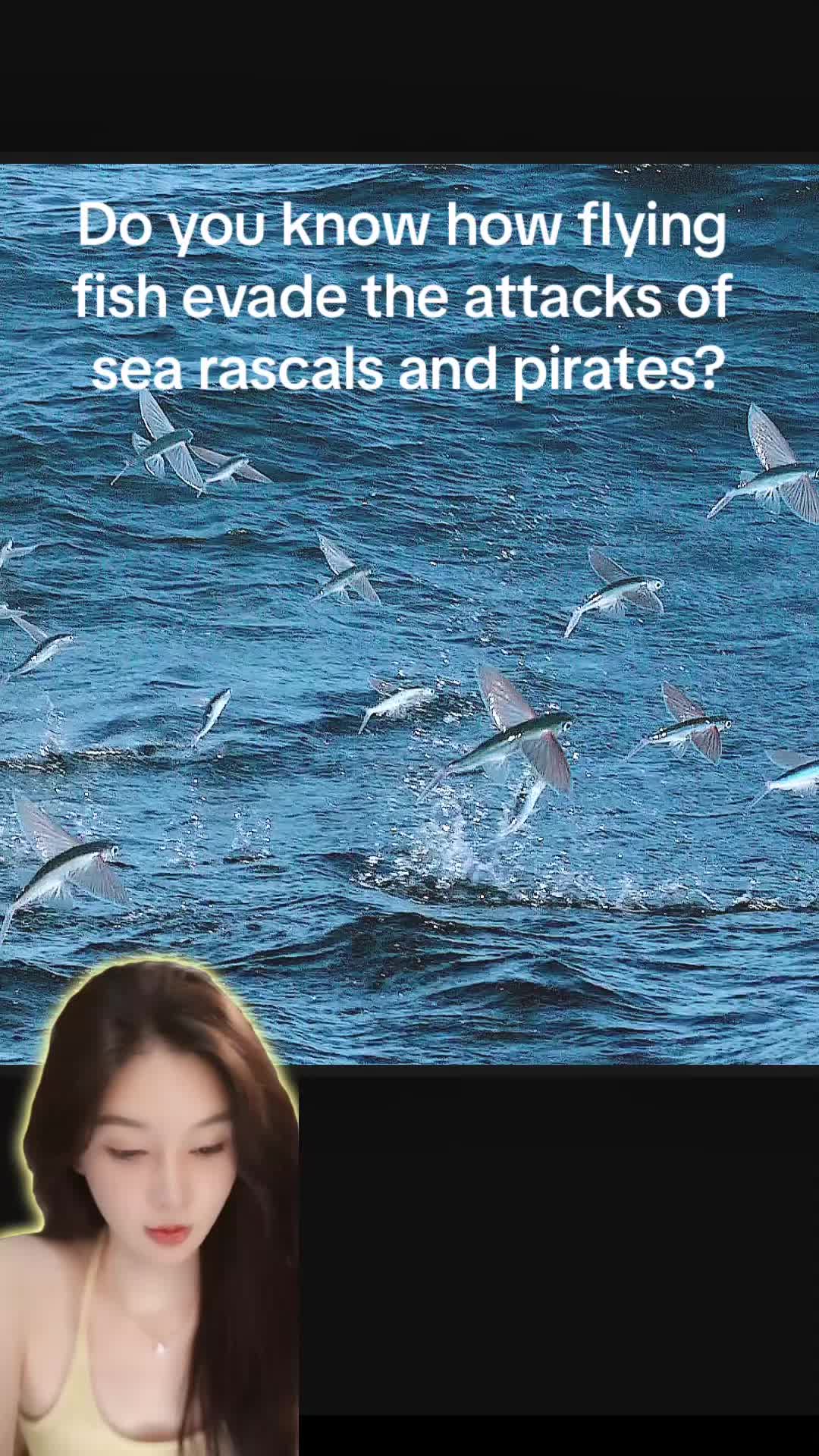 @aboutanimals