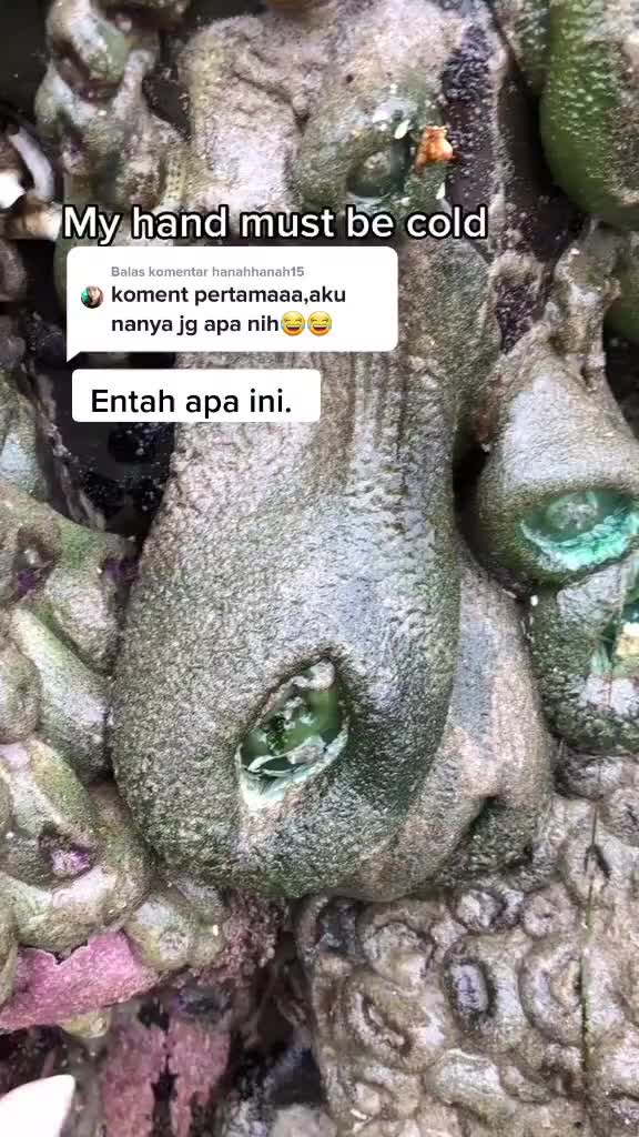@JabrigNew🇮🇩💫