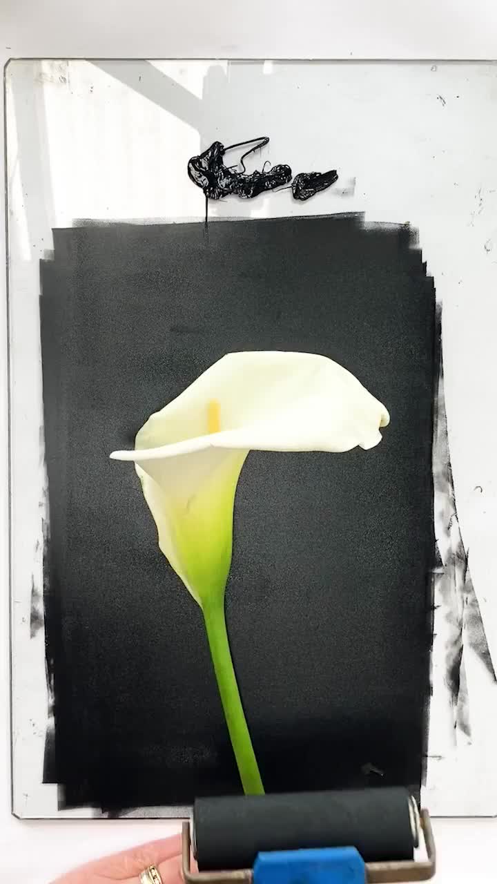 @Impressions of Nature