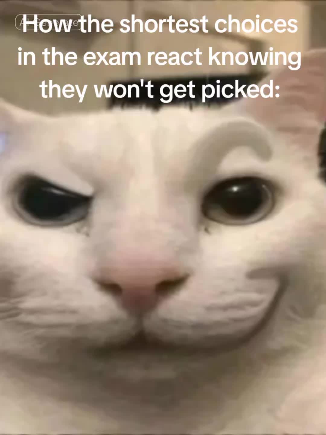 @𝓡𝓪𝓲𝓷𝓷𝓼. ✧