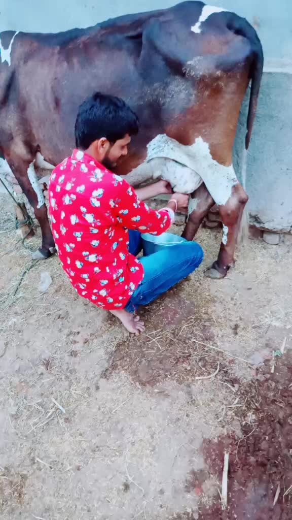 @Siku_Jogi_😎