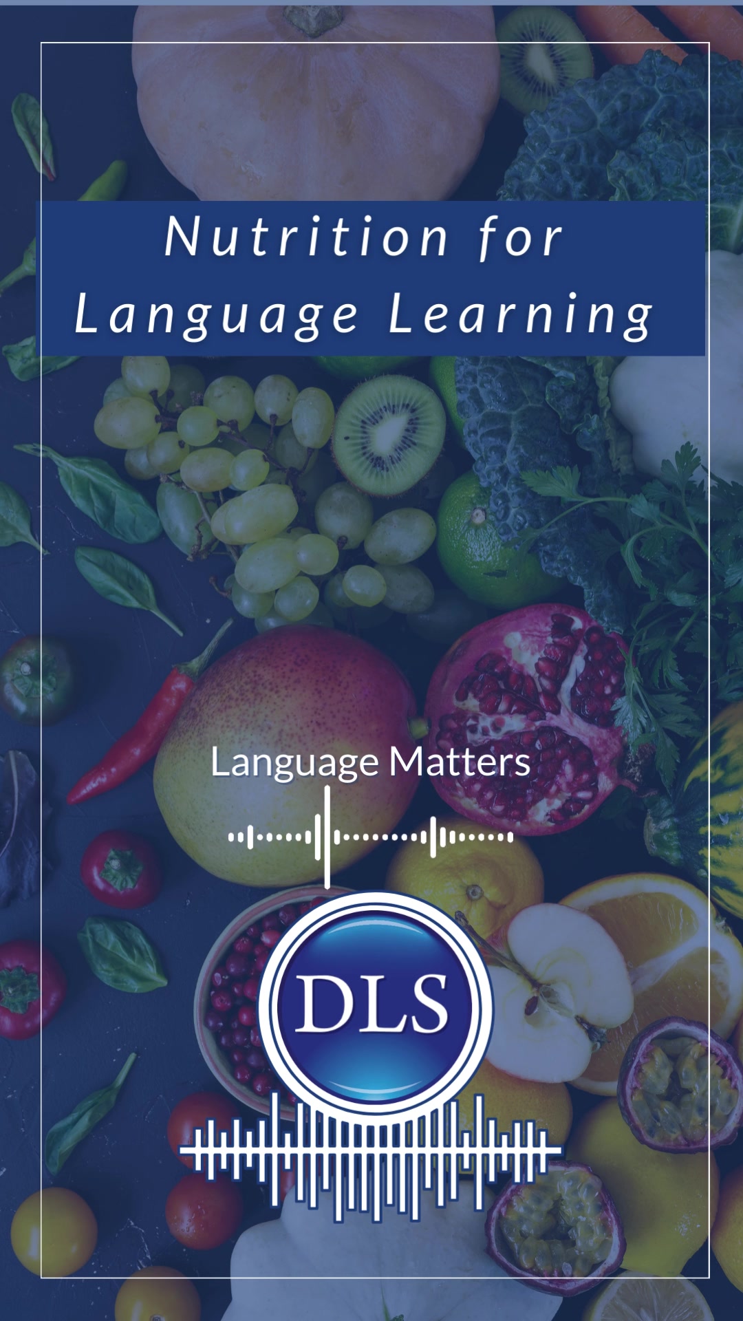 @Diplomatic Language Services