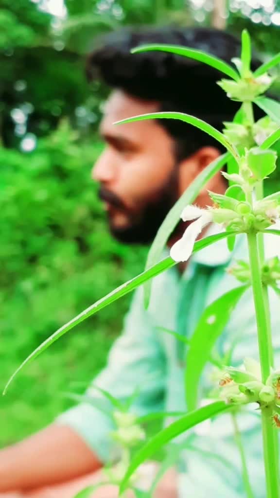 @Sarathbalu Pk