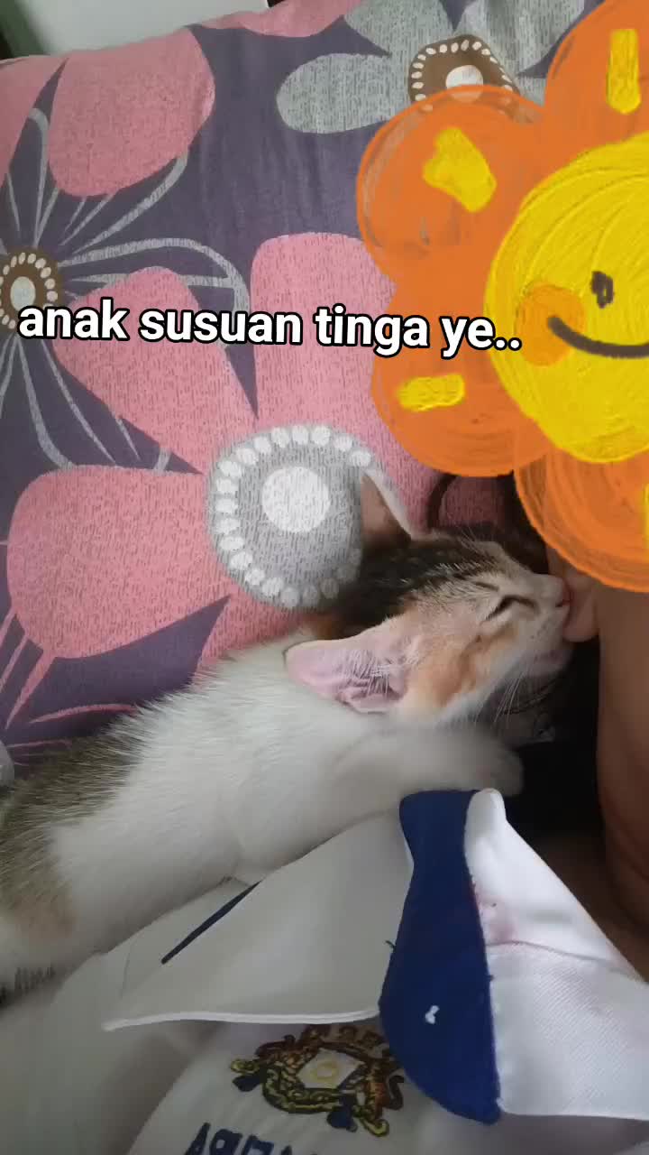 @Chaiyya Kawsar