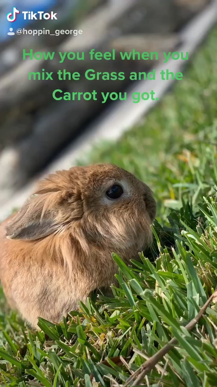@AaronTheApollo