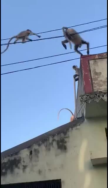 @M&aacute;&ntilde;&ocirc;j_pŕ&auml;m&acirc;&ntilde;&icirc;k.14
