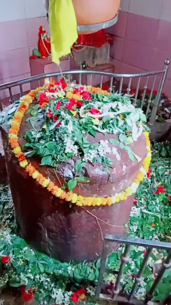 @shaurya dubey