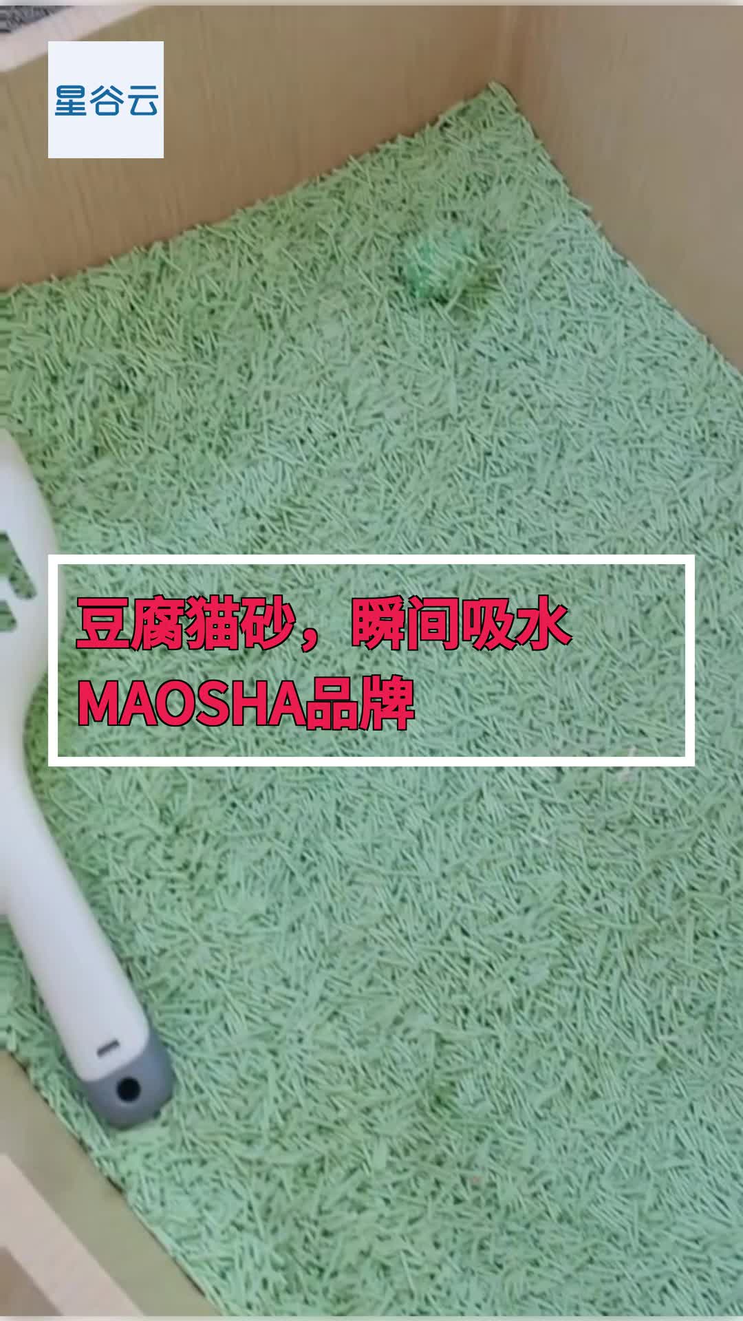 @shanwu5053