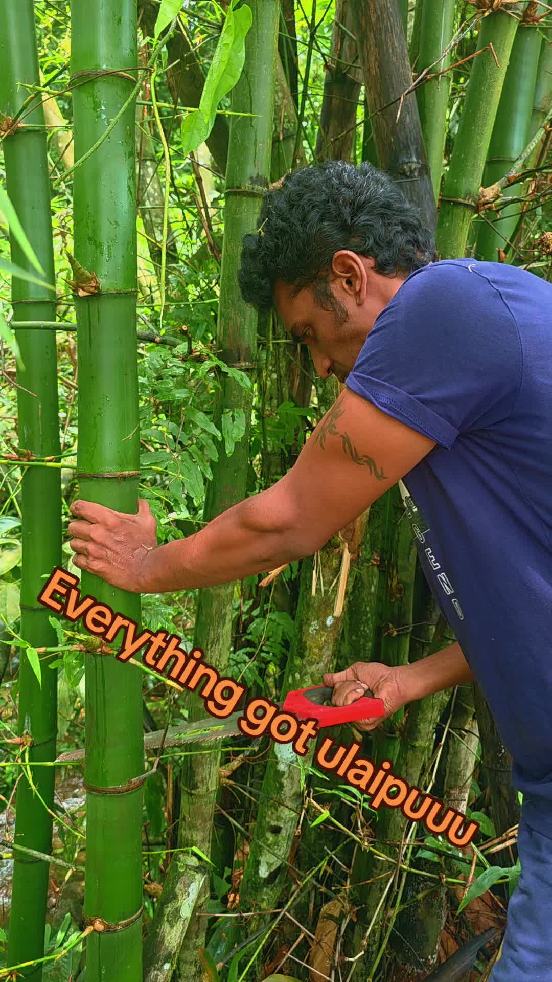 @pandiyanarts