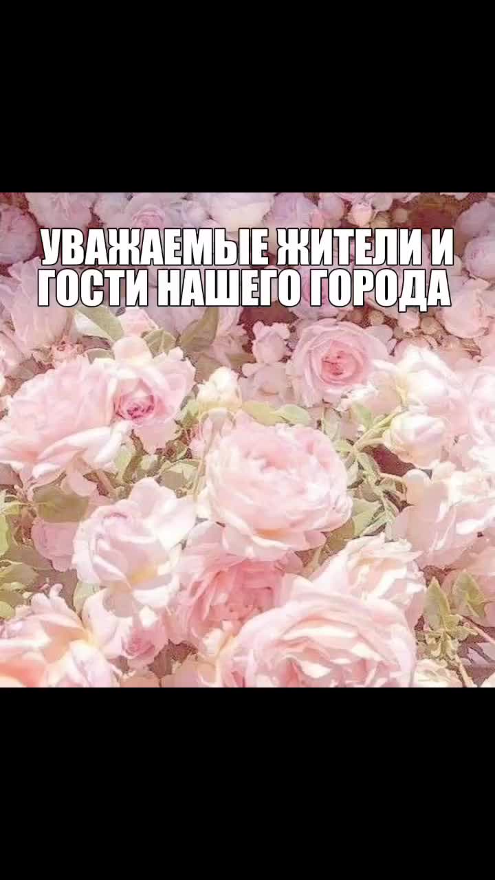 @.magnelisb6.•'ᶻ 𝗓`