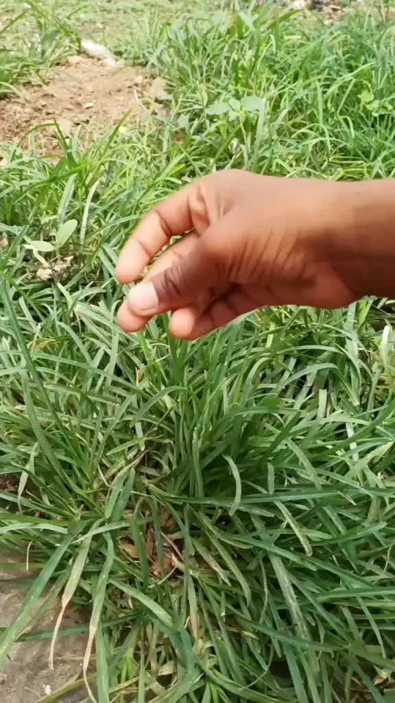 @Cnu Srinu