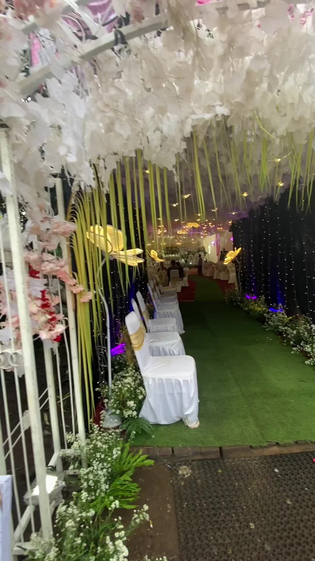 @Hany Tenda Decoration