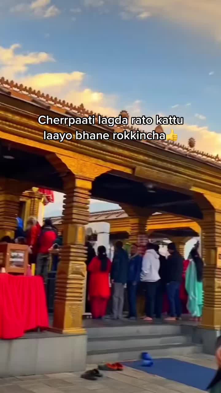 @hallelujah