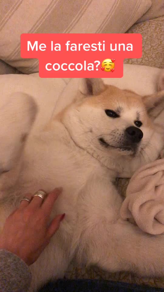 @Germana Timo