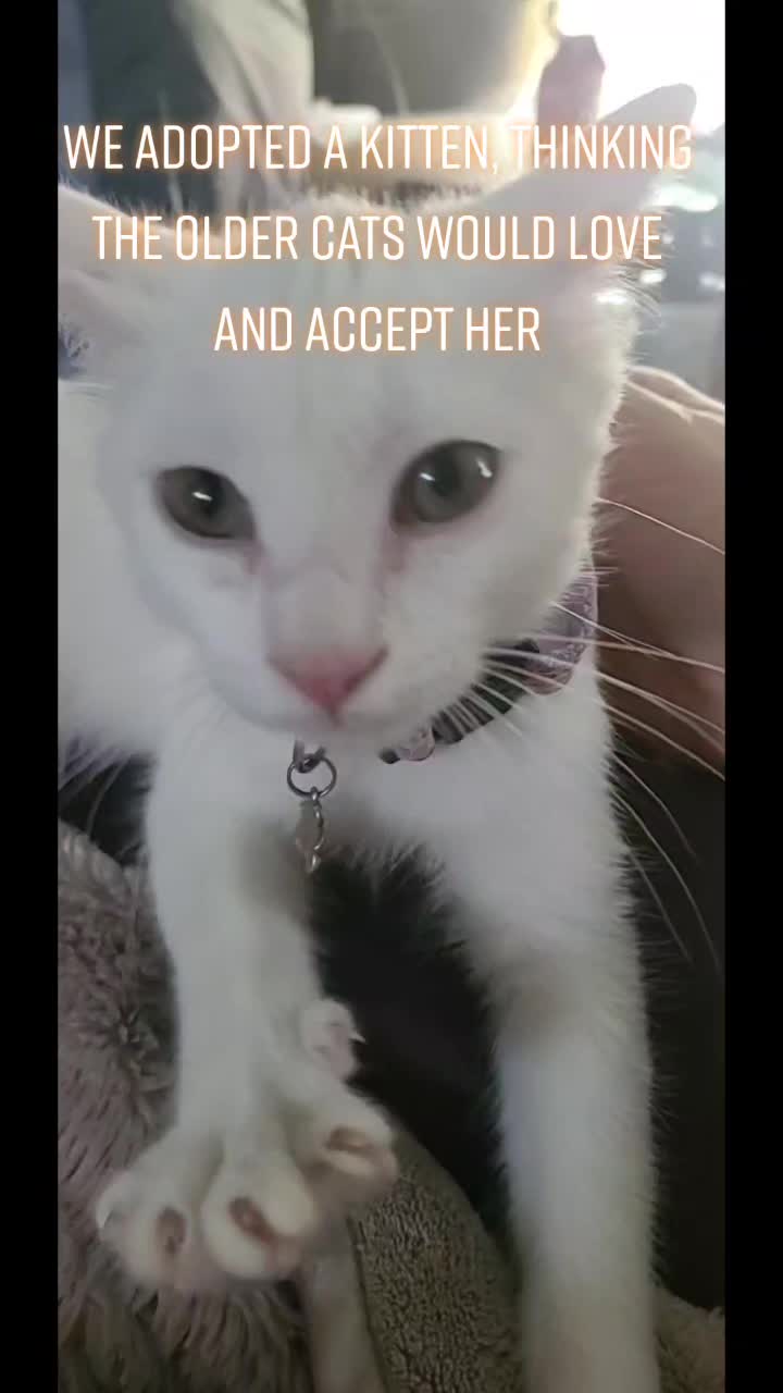 @Jessica ๐