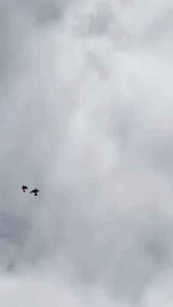 @d&ouml;nek_g&uuml;vercin_