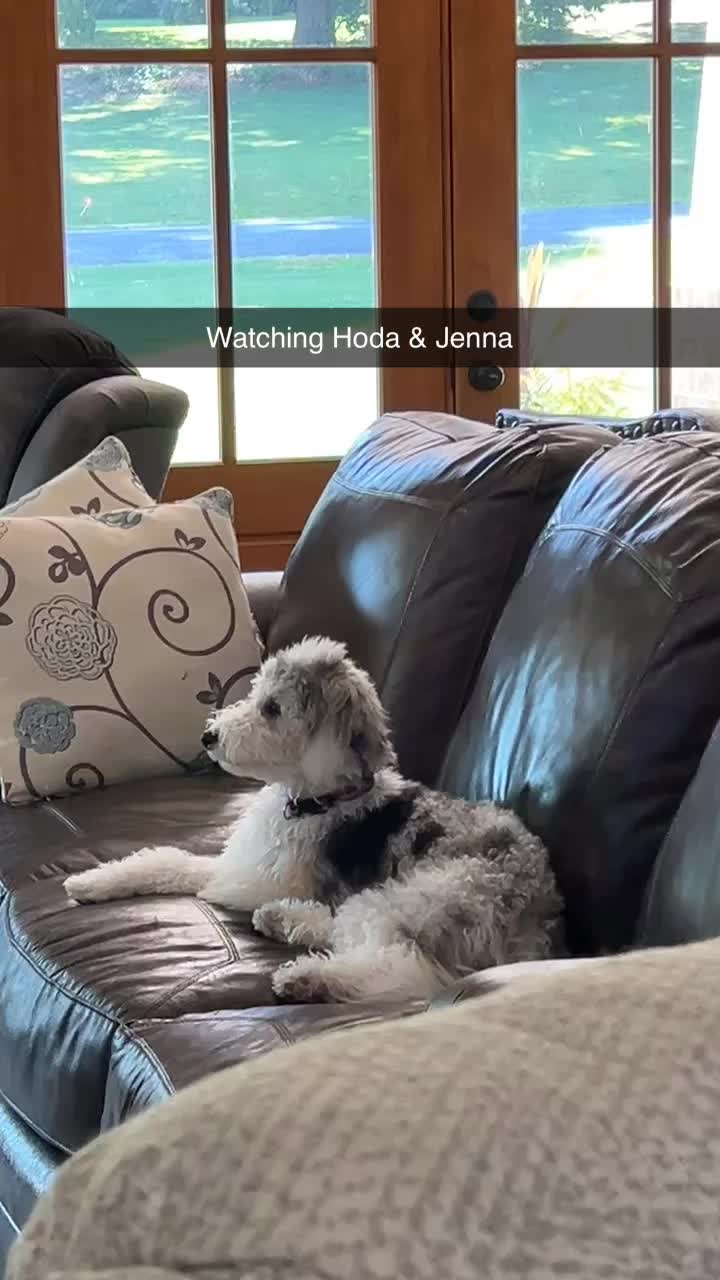 @HookingWithHaley