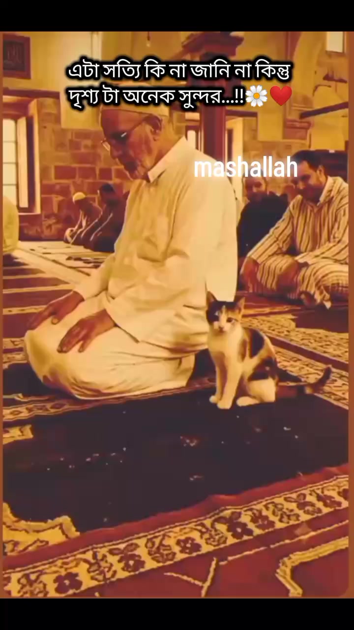 @°•°☁Ṧ𝒖𝔯𝒂ⲓ𝑦𝒂☁°•°•
