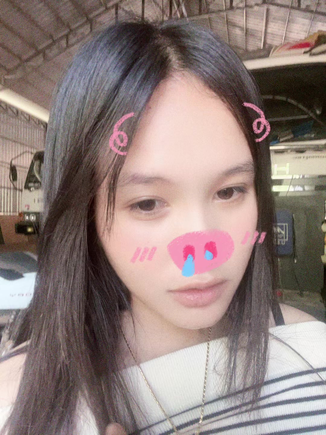 @M Crocodile🐊