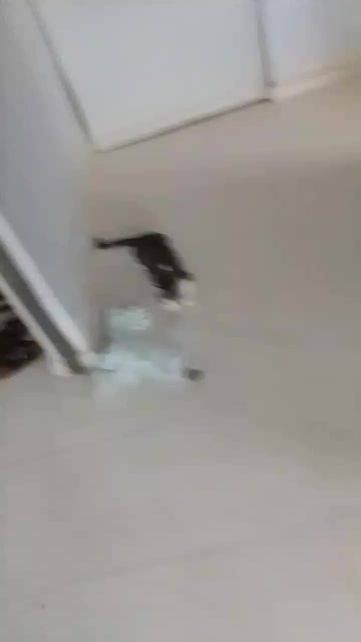 @Paraíso Televisión