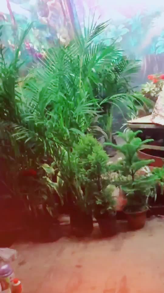 @aman_04cg
