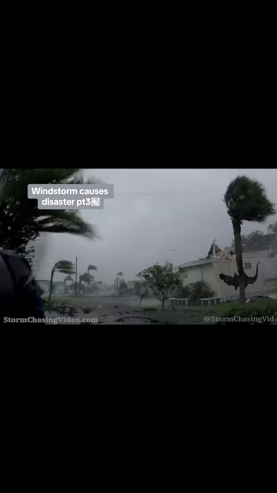 @natural disasters