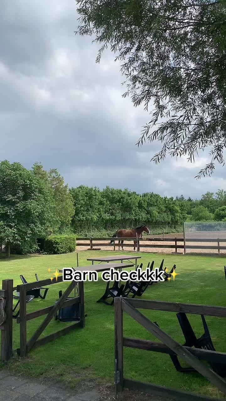 @De Hilversumse ponyclub