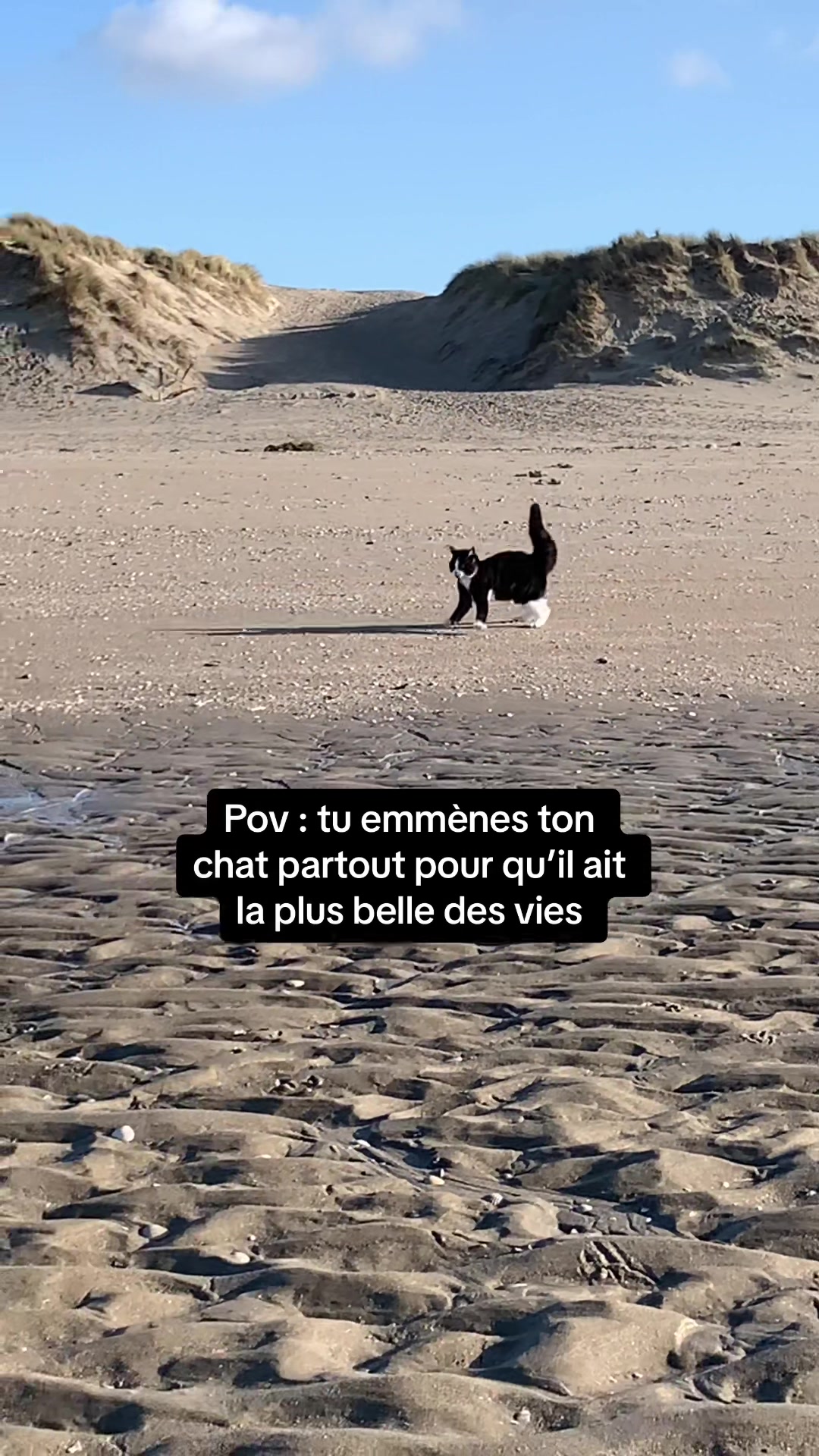 @Tigrou & Asko
