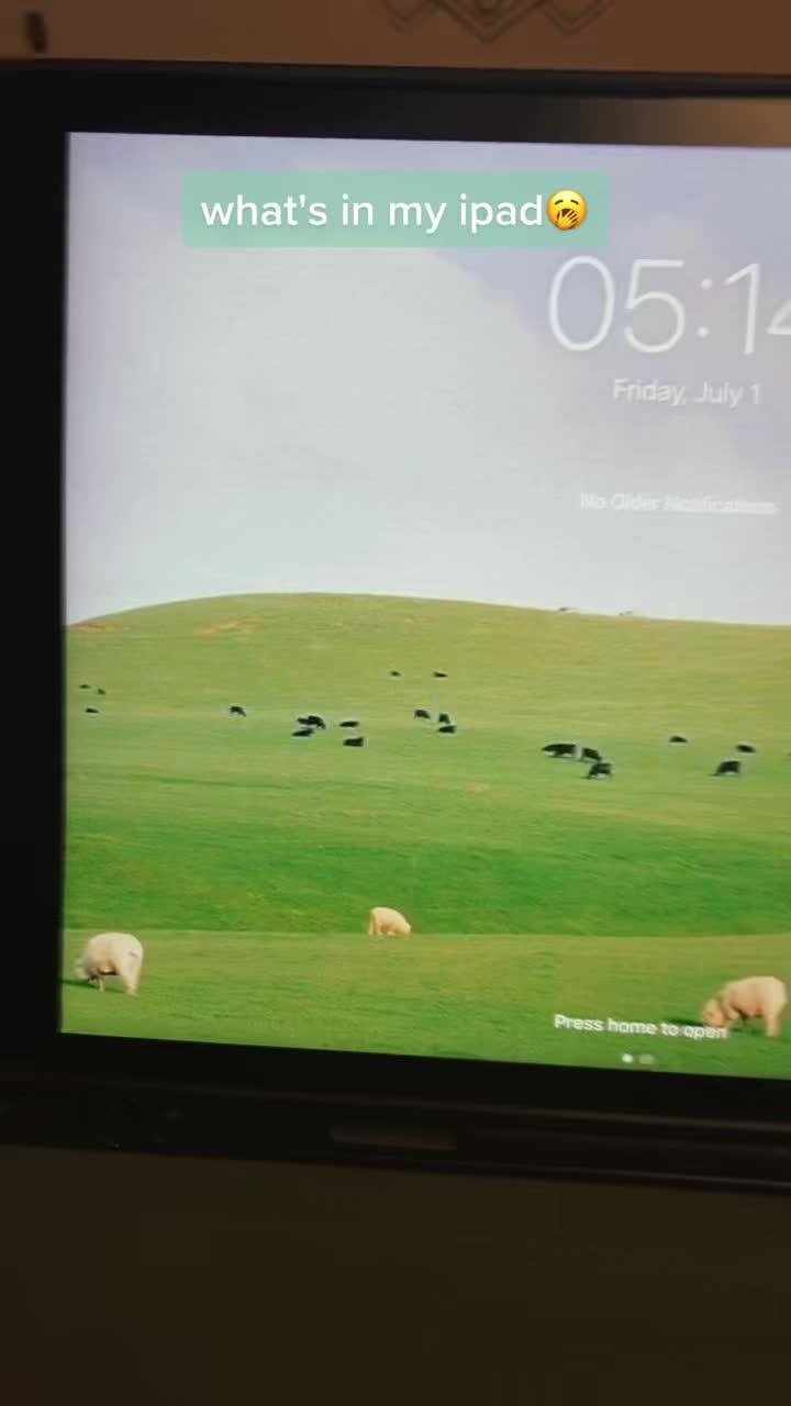 @🤍