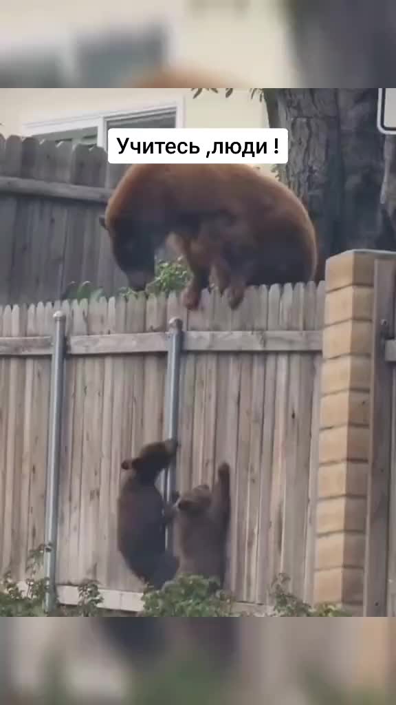 @Забава