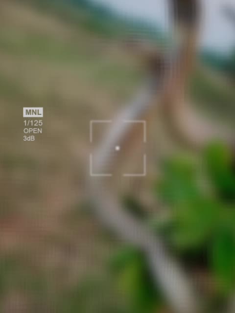 @꧁☆ɈȺɌɆɌȺ 320☆꧂