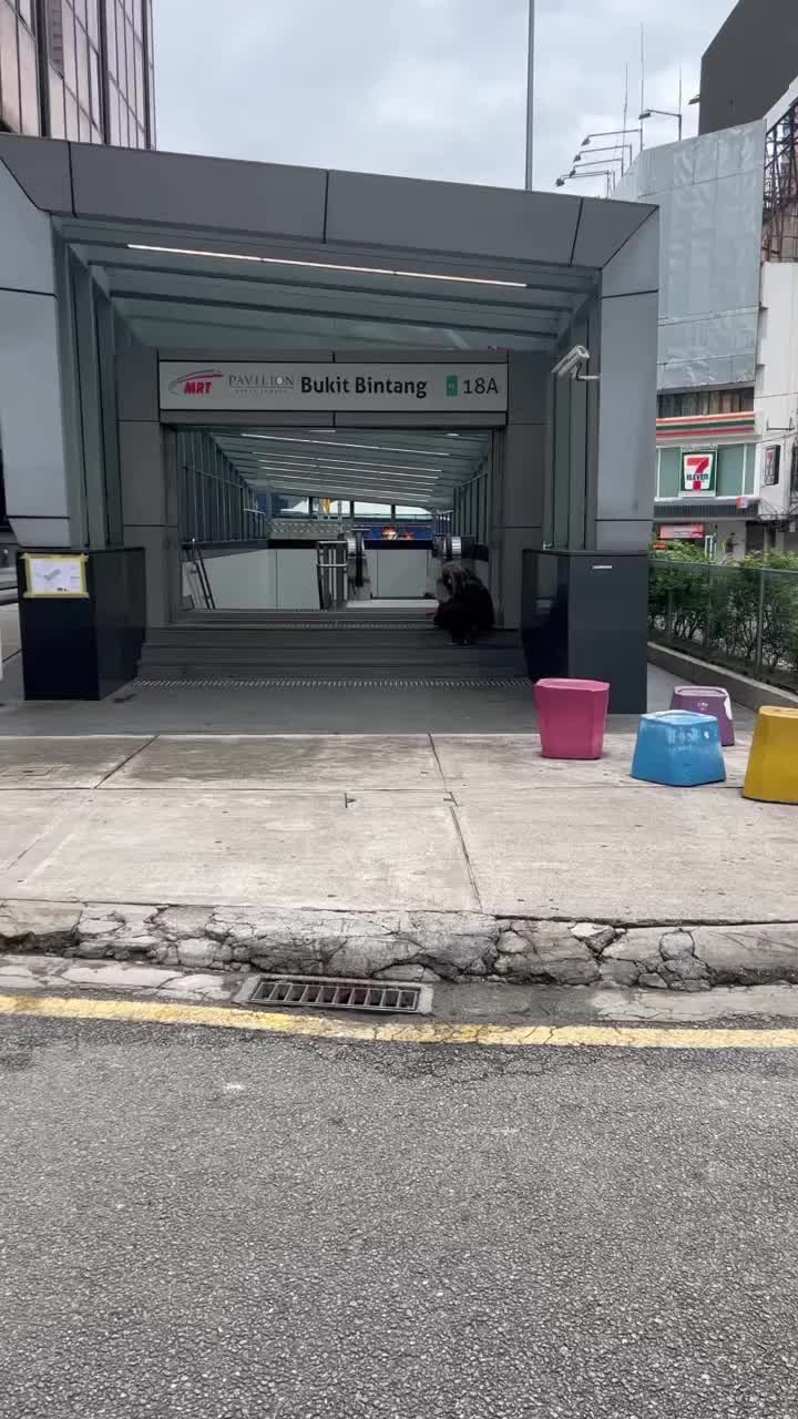 @Beny Goh