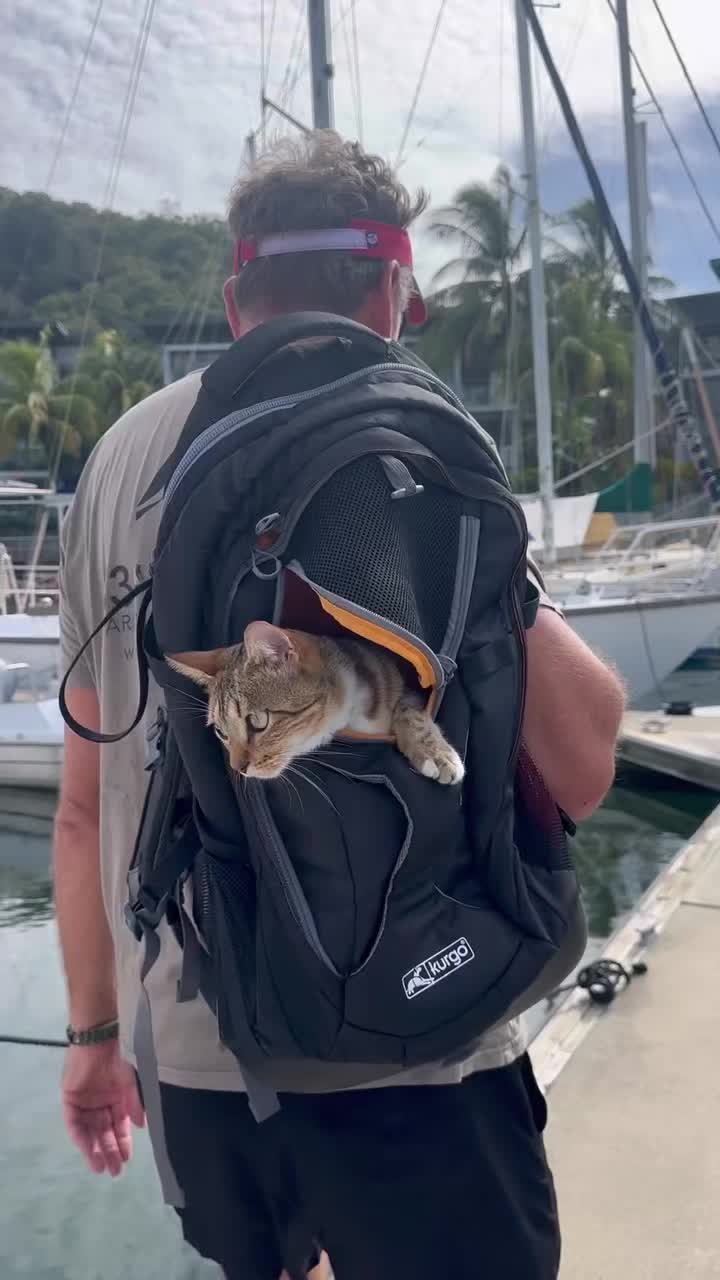 @thatcutecat