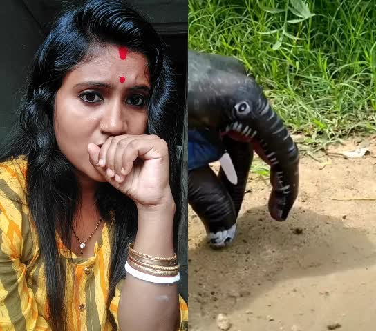@Sewali Das