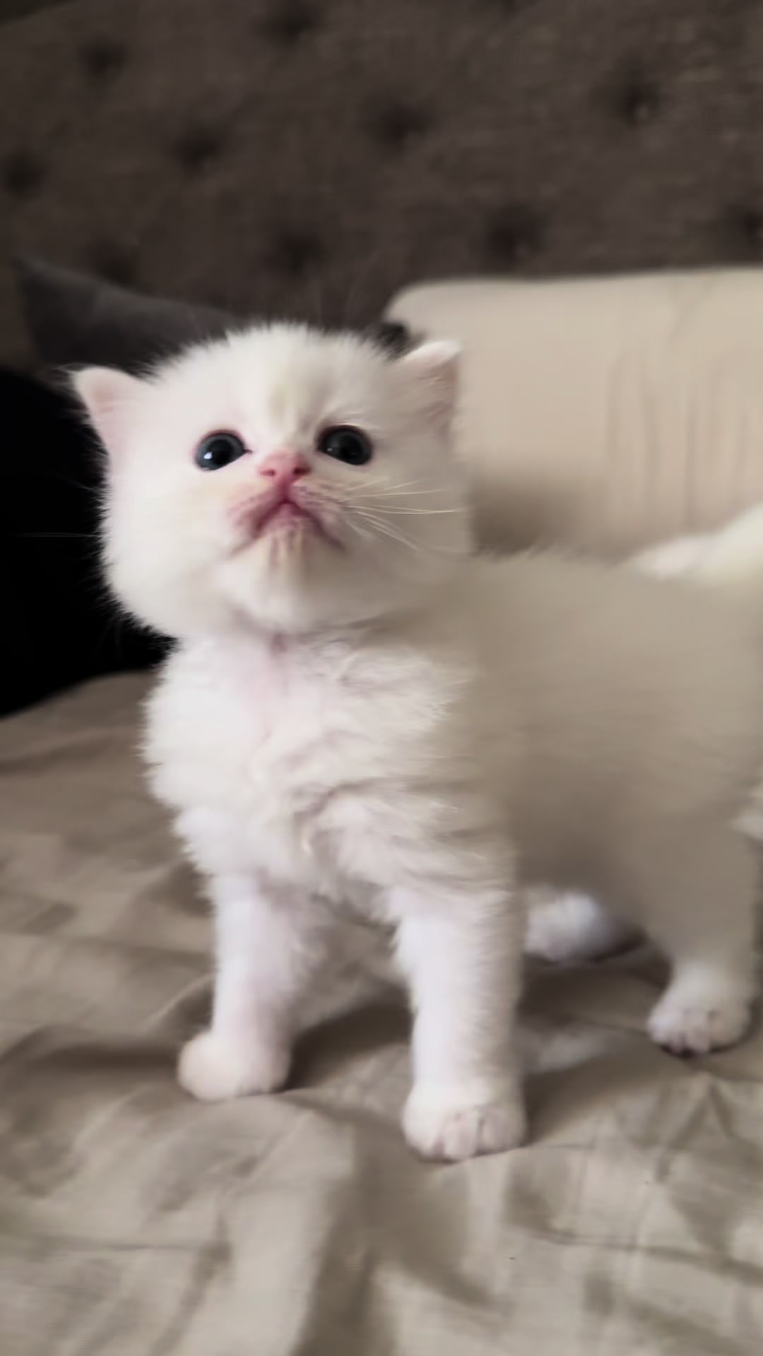 @♡ ج