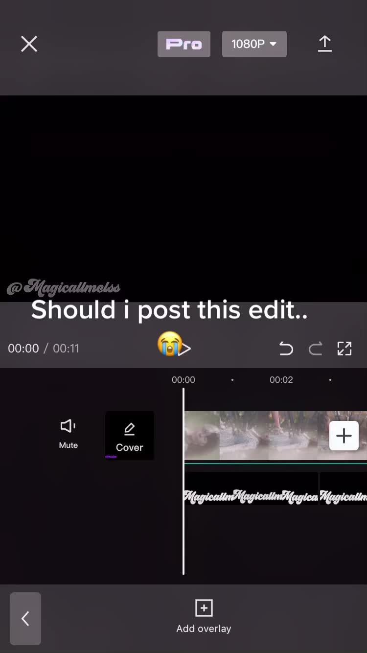 @🤍🤍🤍