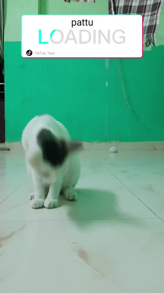 @திருச்சிக்காரன்