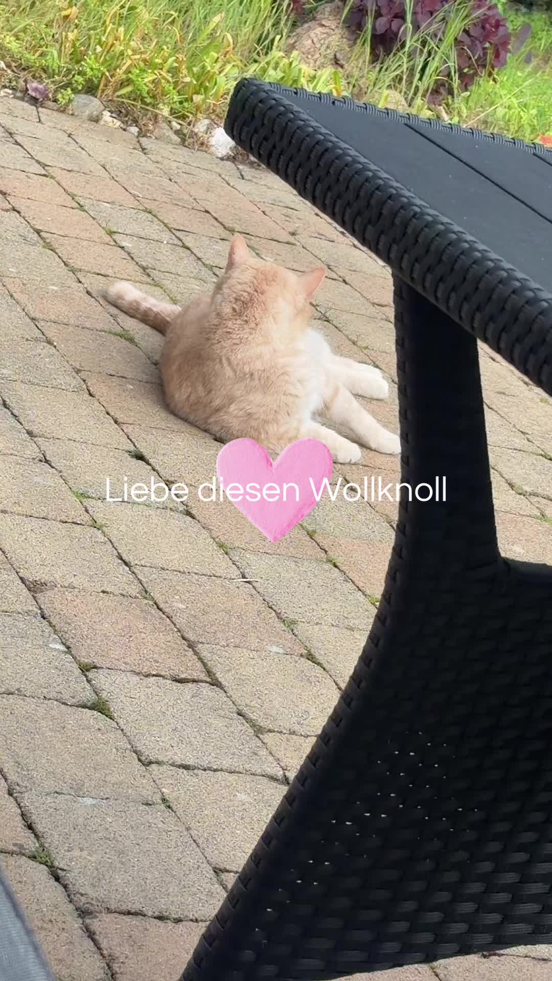 @Kristina Schmidt